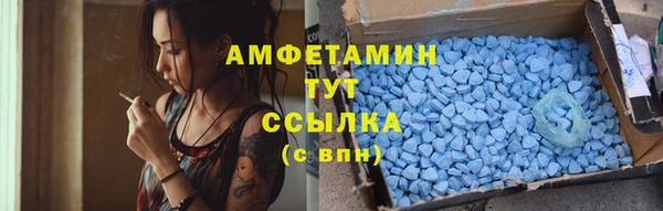 прущие грибы Мегион