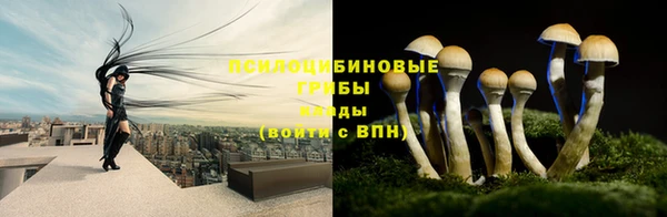 не бодяженный Медвежьегорск