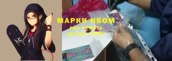 прущие грибы Мегион