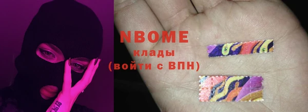 прущие грибы Мегион