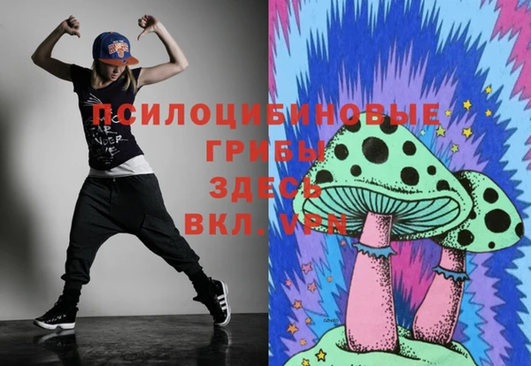 прущие грибы Мегион