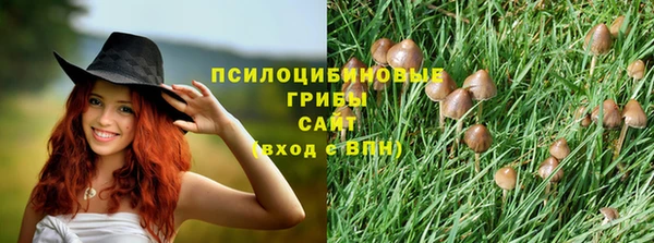 прущие грибы Мегион