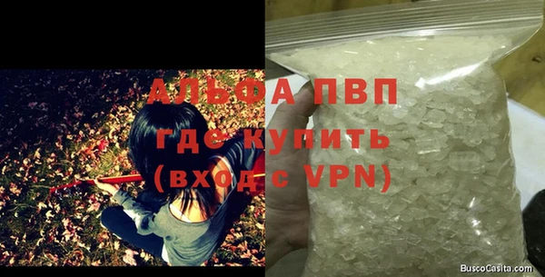 прущие грибы Мегион