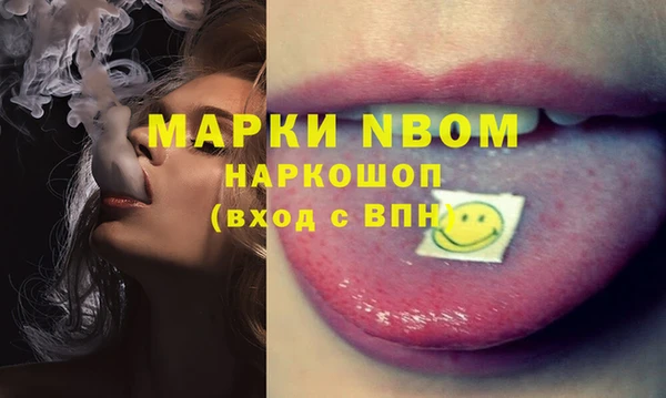 прущие грибы Мегион