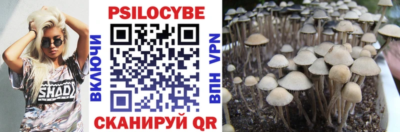 mega ссылки  Томари  Галлюциногенные грибы мухоморы 